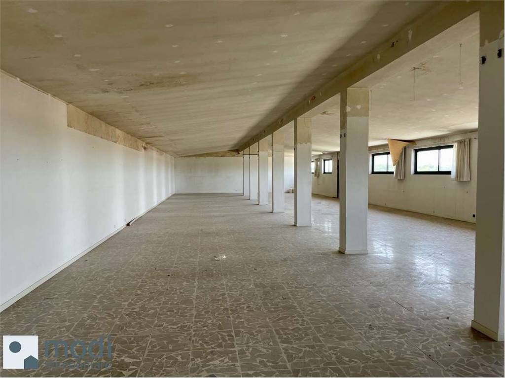 immagine annuncio 5 di 9