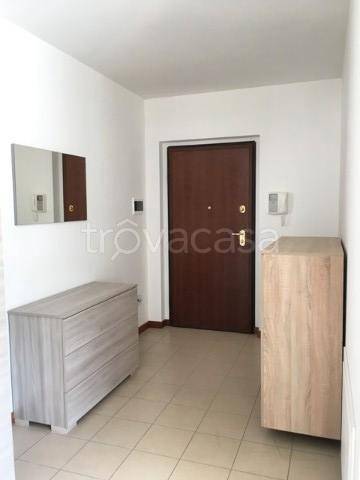 immagine annuncio 2 di 8