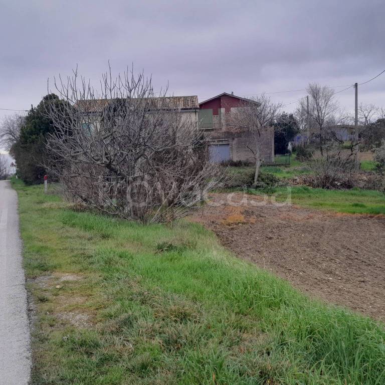 immagine annuncio 5 di 9
