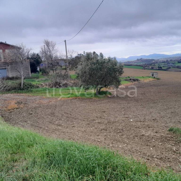 immagine annuncio 6 di 9