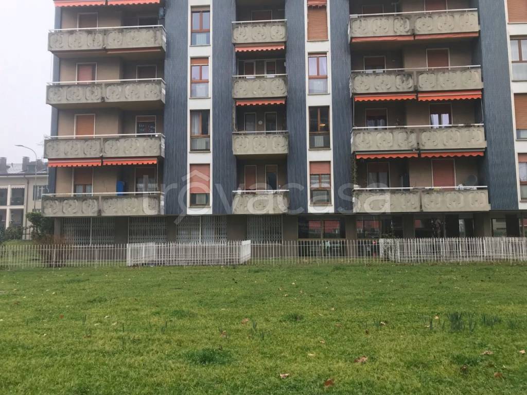 immagine annuncio 6 di 15