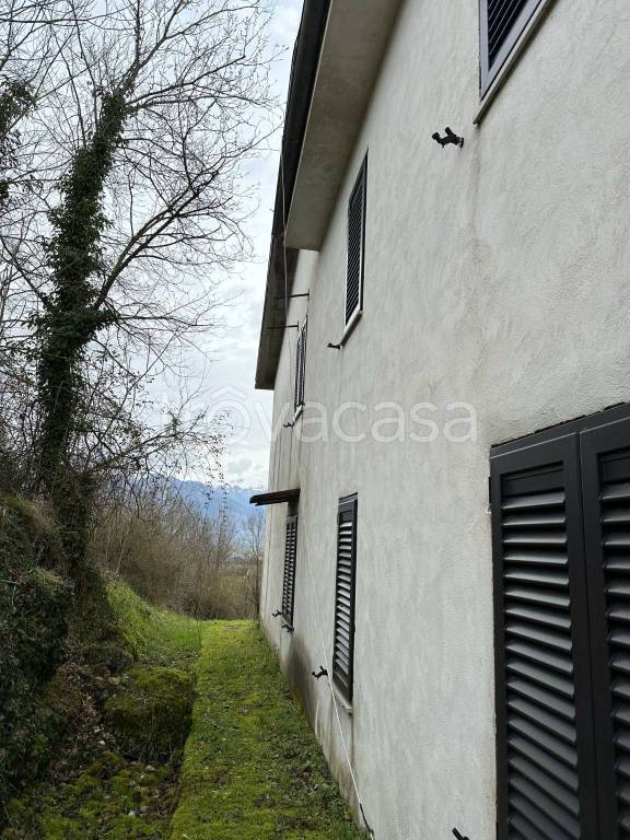immagine annuncio 4 di 14