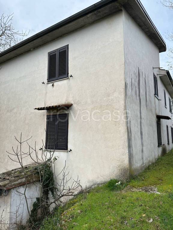 immagine annuncio 5 di 14