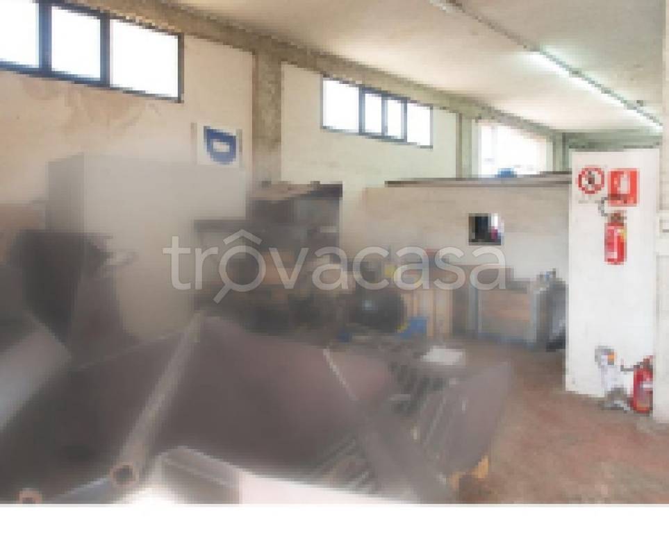 immagine annuncio 3 di 8