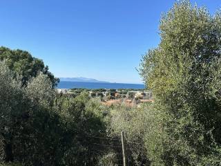 Terreno agricolo in vendita a follonica 