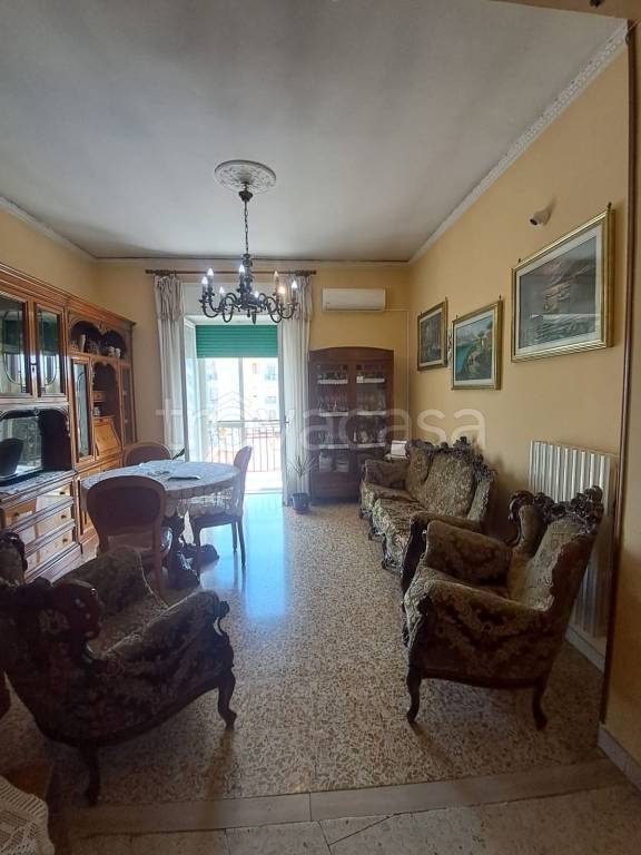 immagine annuncio 3 di 14