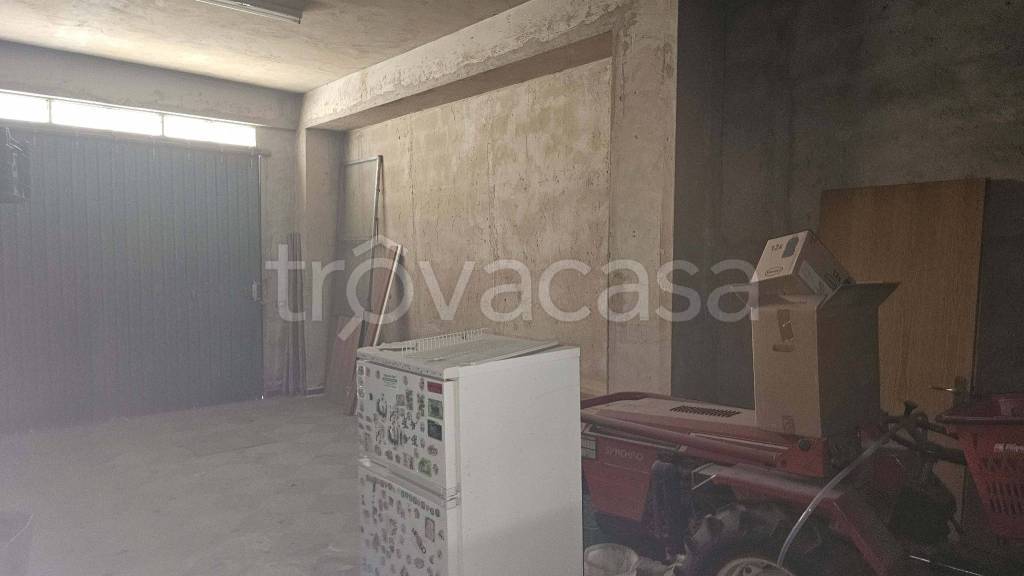 immagine annuncio 12 di 13