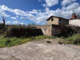 Terreno agricolo all'asta a puglianello via molino