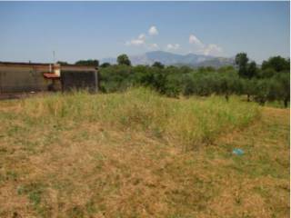 Terreno agricolo all'asta a sessa aurunca via filaro