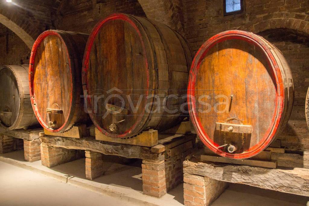 immagine annuncio 9 di 14
