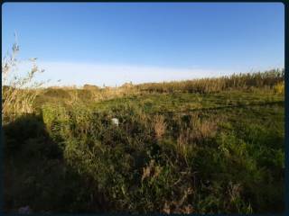 Terreno agricolo all'asta a torrenova sp162bis