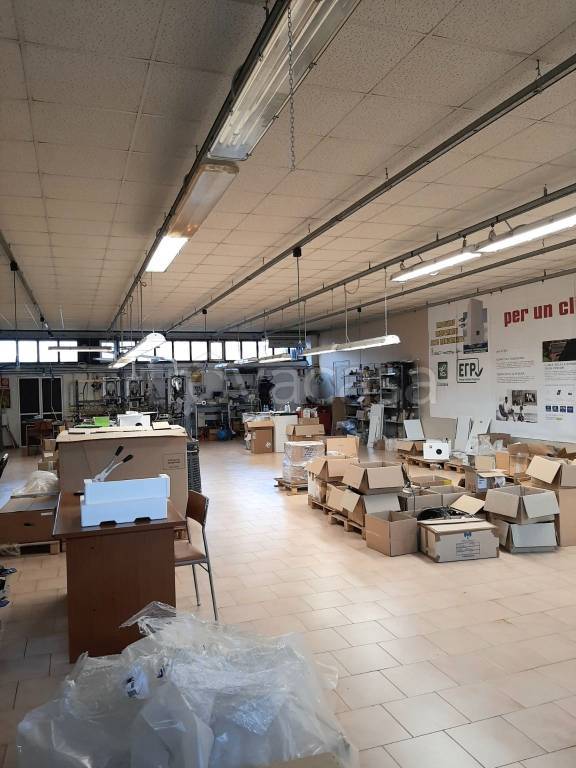 immagine annuncio 5 di 15