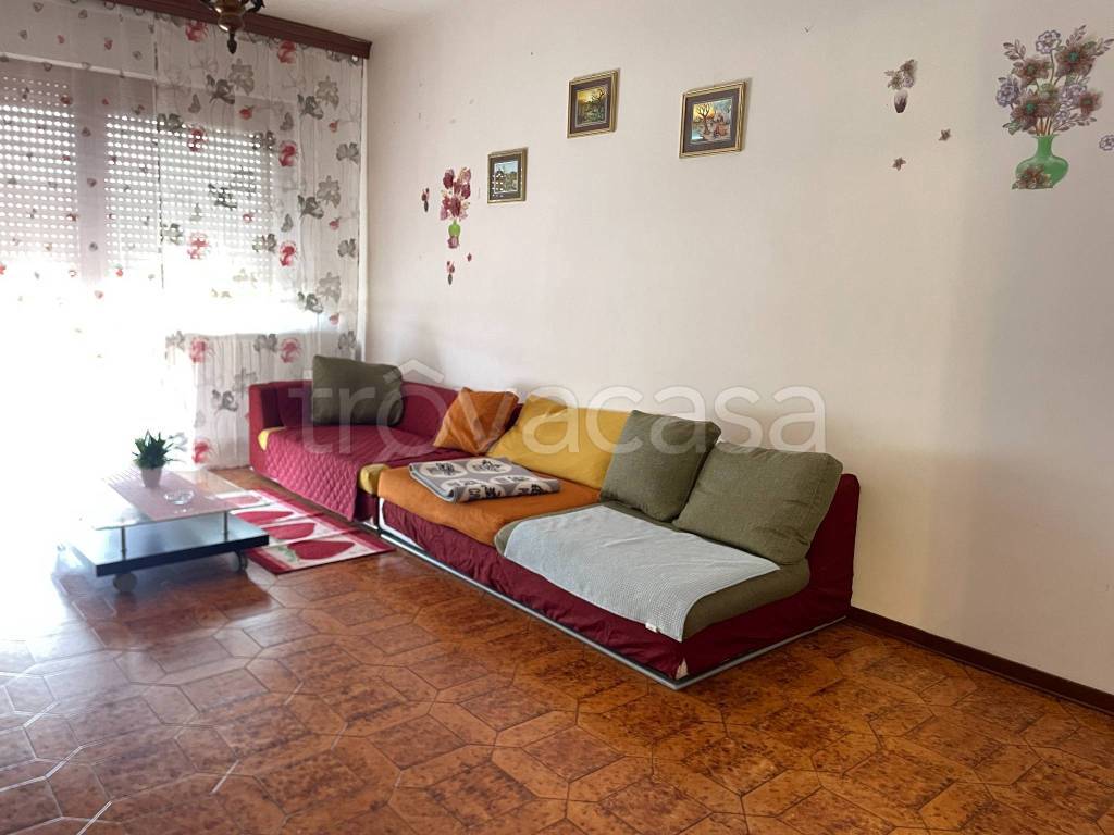 immagine annuncio 2 di 12