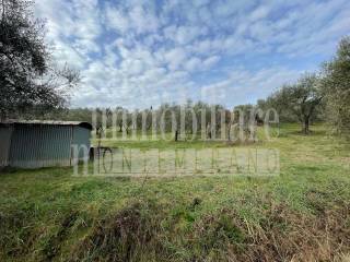 Terreno agricolo in vendita a manciano via scansanese, 23f