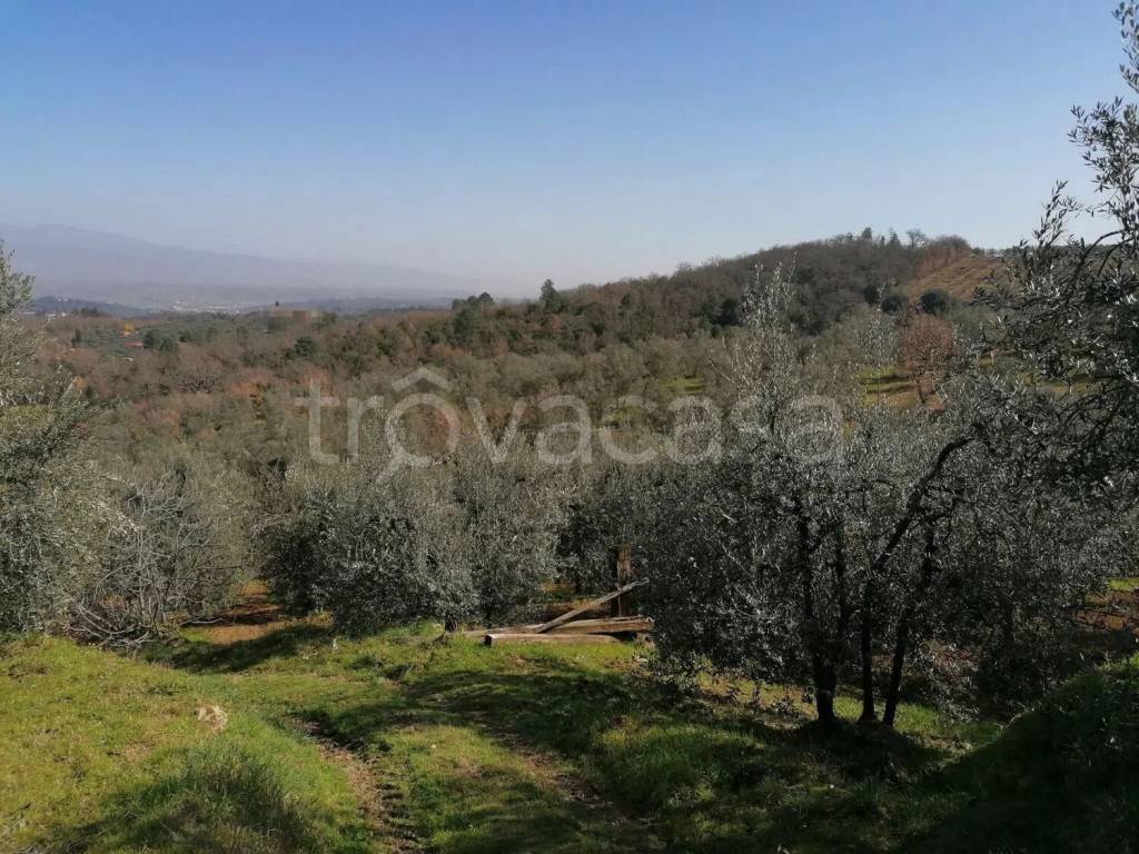 immagine annuncio 5 di 6