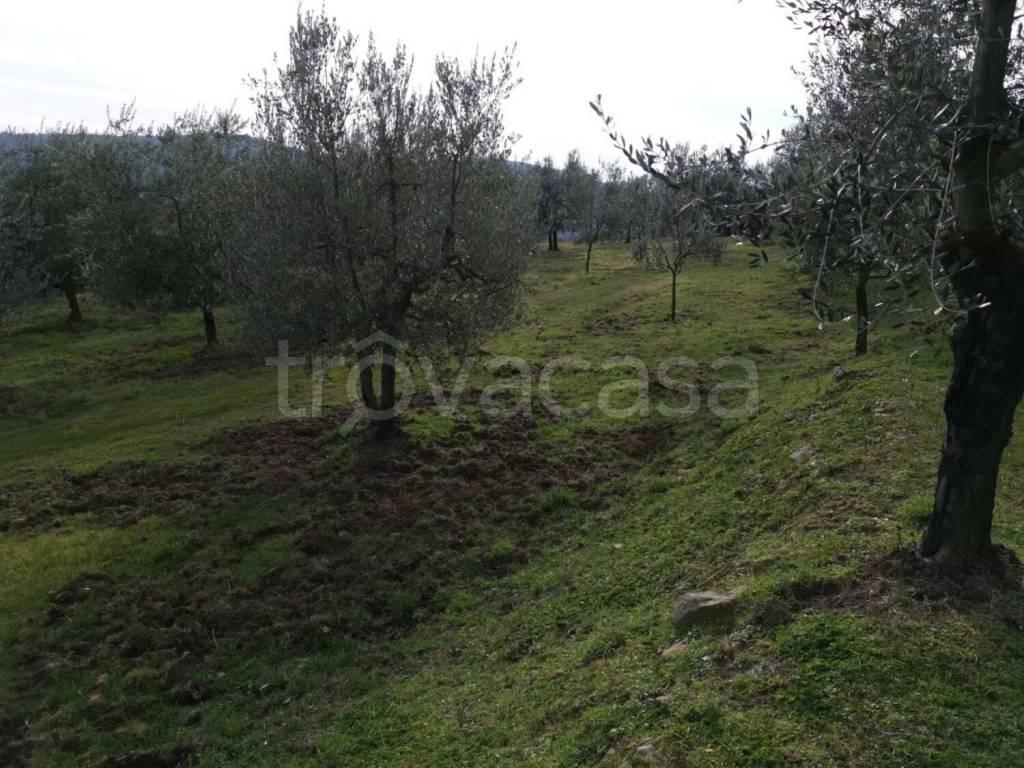 immagine annuncio 4 di 8