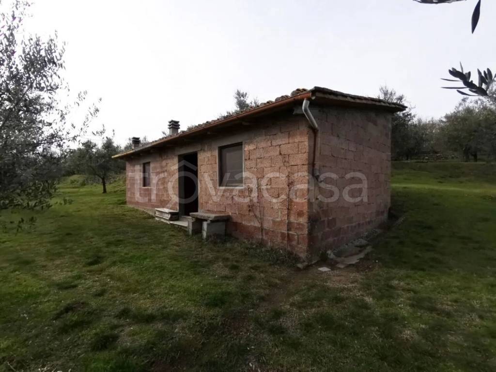 immagine annuncio 5 di 8