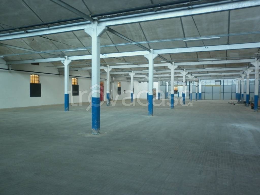immagine annuncio 10 di 14
