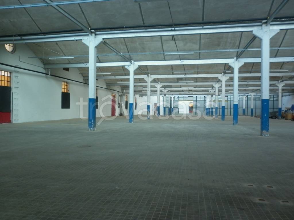 immagine annuncio 11 di 14