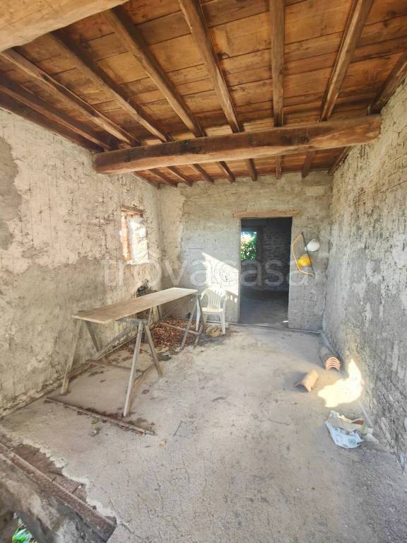 immagine annuncio 5 di 8