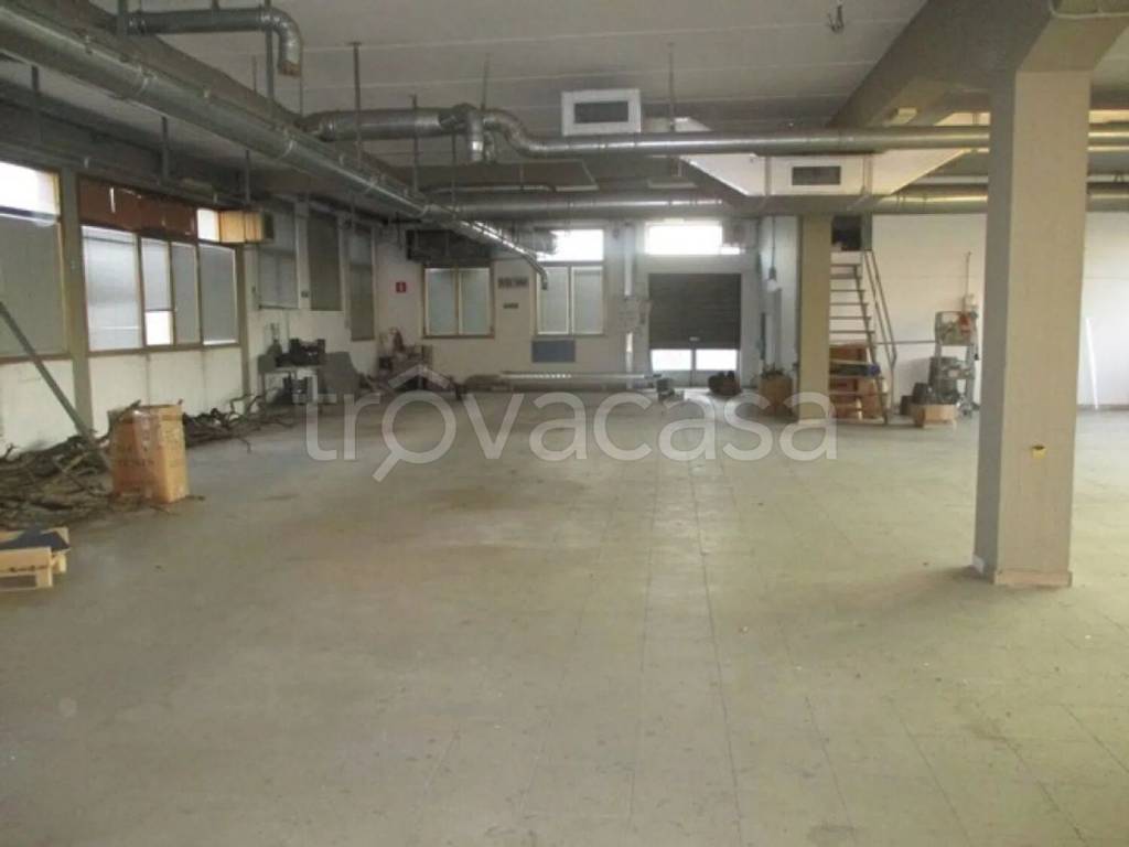 immagine annuncio 2 di 13