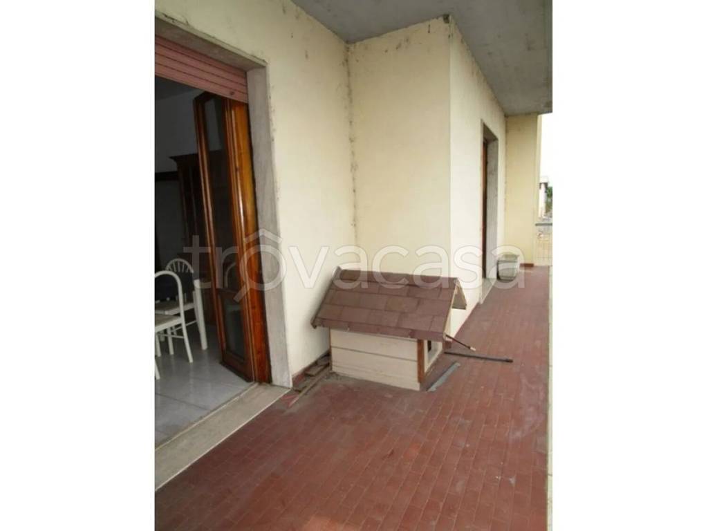 immagine annuncio 4 di 12