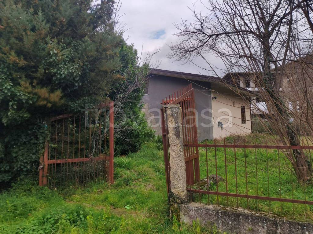 immagine annuncio 2 di 6