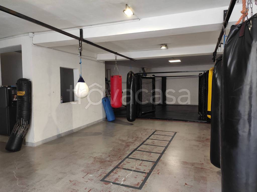 immagine annuncio 3 di 9