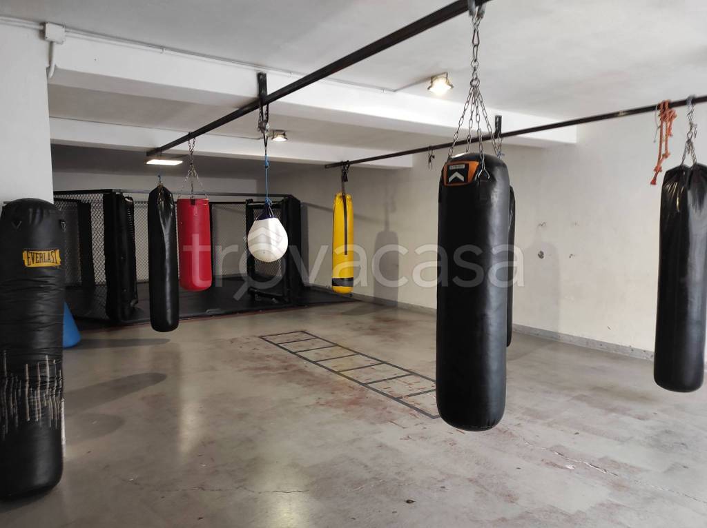 immagine annuncio 4 di 9