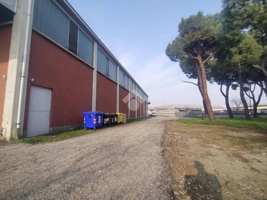 immagine annuncio 11 di 15