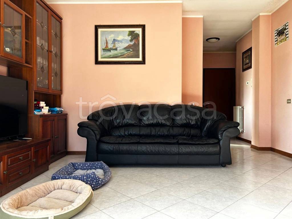 immagine annuncio 3 di 14