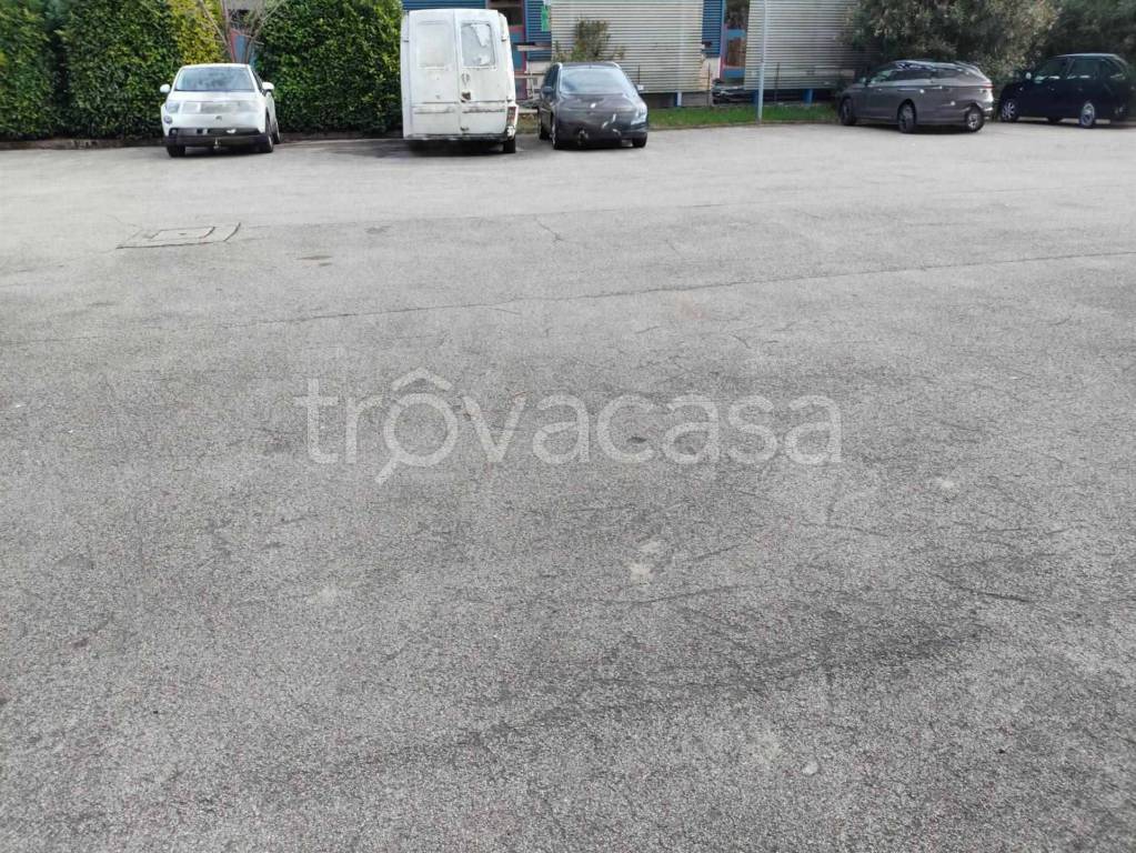 immagine annuncio 5 di 11