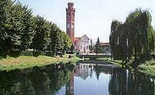immagine annuncio 2 di 11