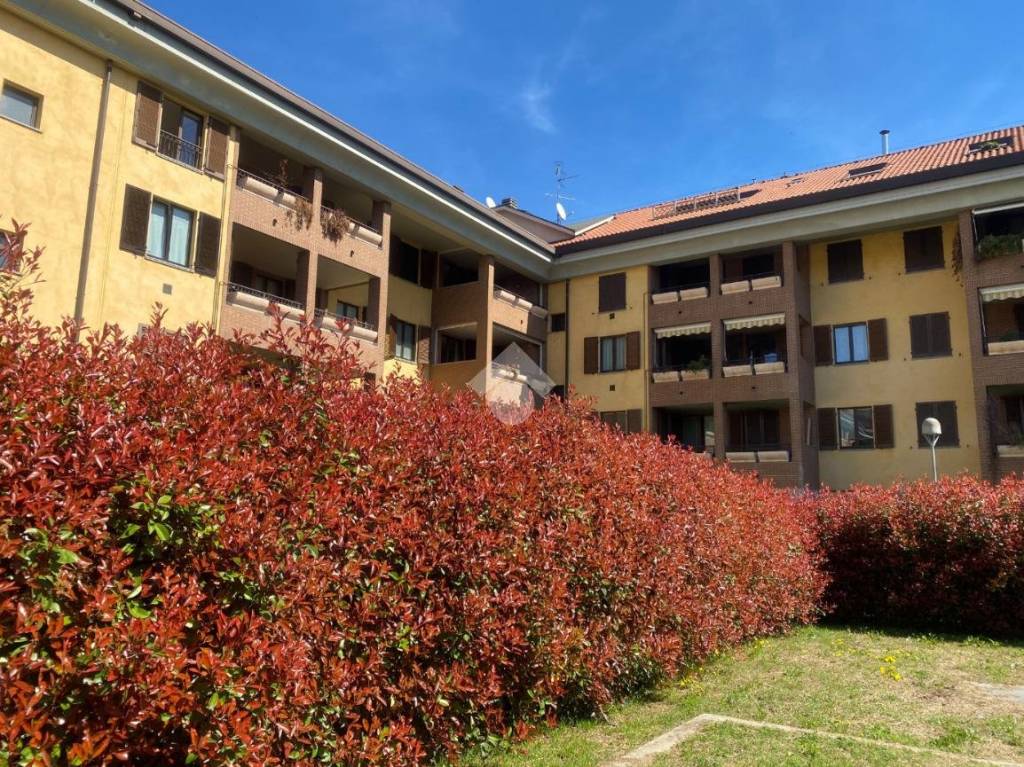 immagine annuncio 1 di 14