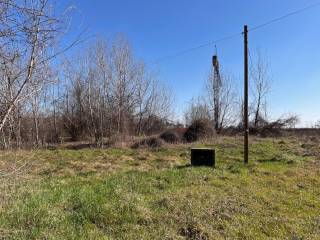 Terreno residenziale all'asta a faenza via r. frontali, n. snc