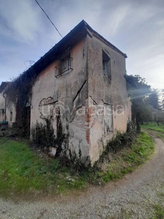 immagine annuncio 1 di 8