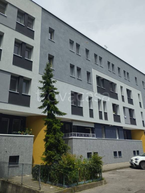 immagine annuncio 3 di 12