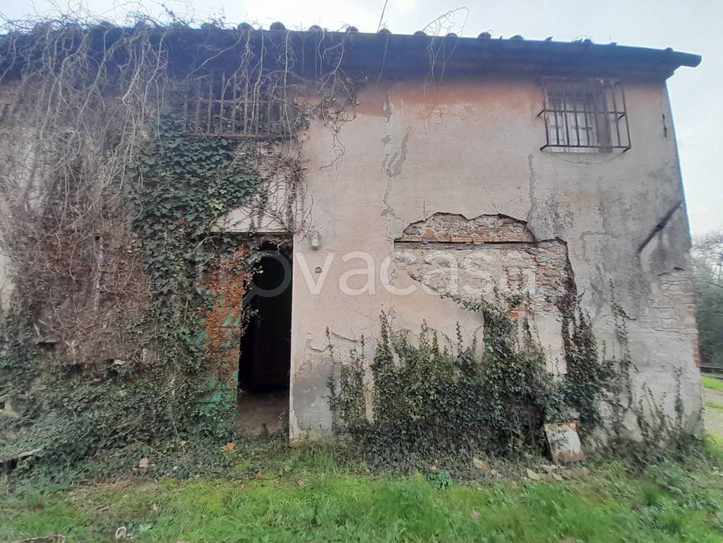 immagine annuncio 2 di 8
