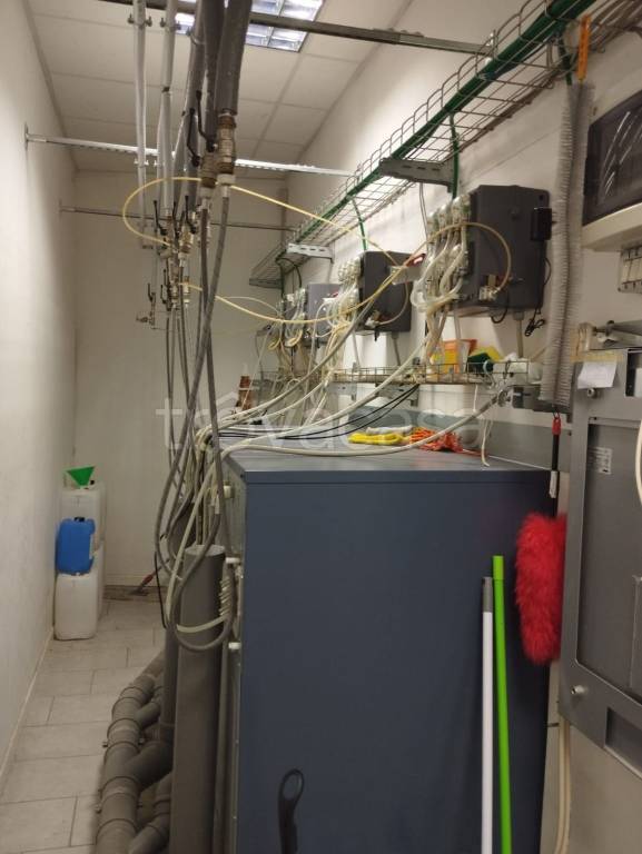 immagine annuncio 9 di 12