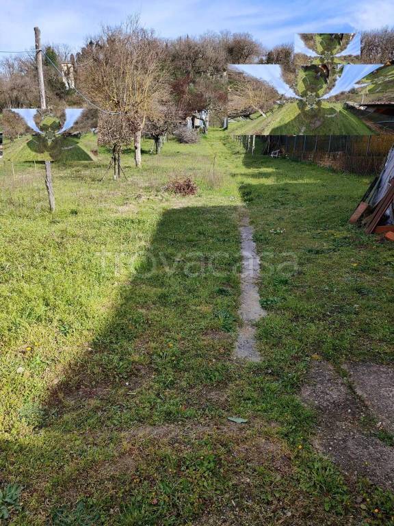 immagine annuncio 4 di 11