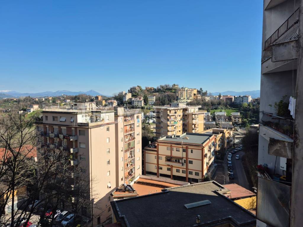 immagine annuncio 9 di 12
