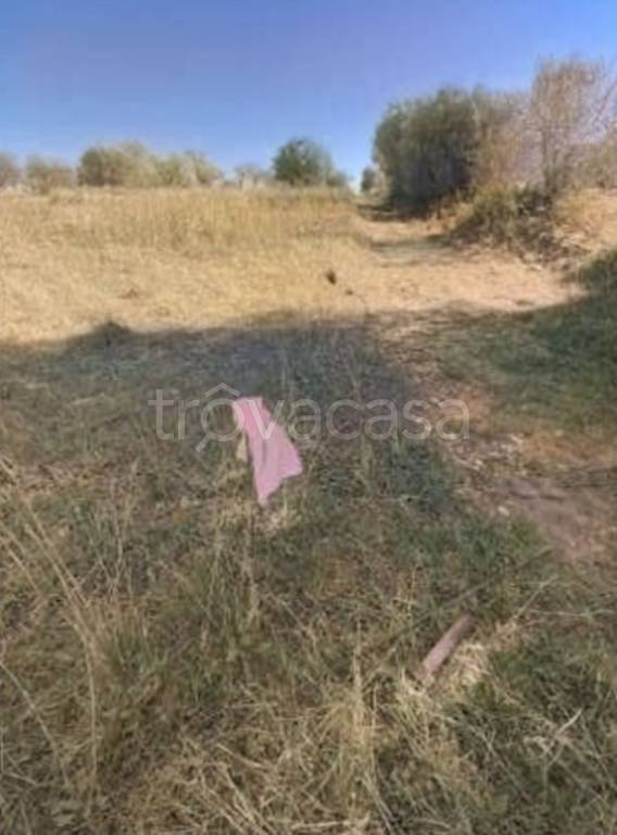 immagine annuncio 4 di 12