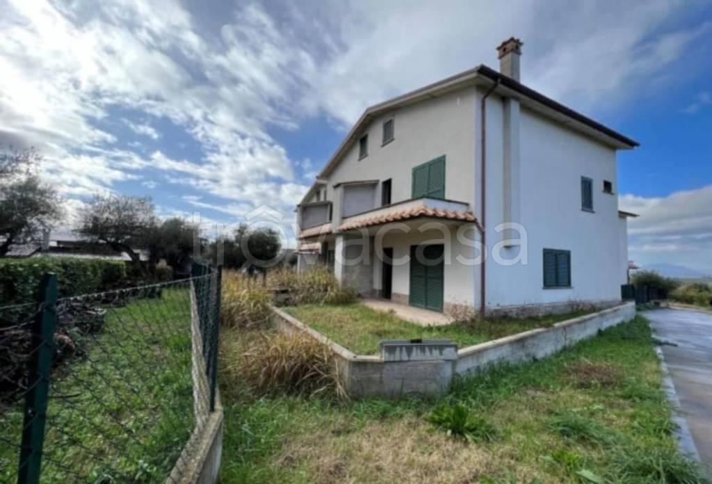 immagine annuncio 7 di 14