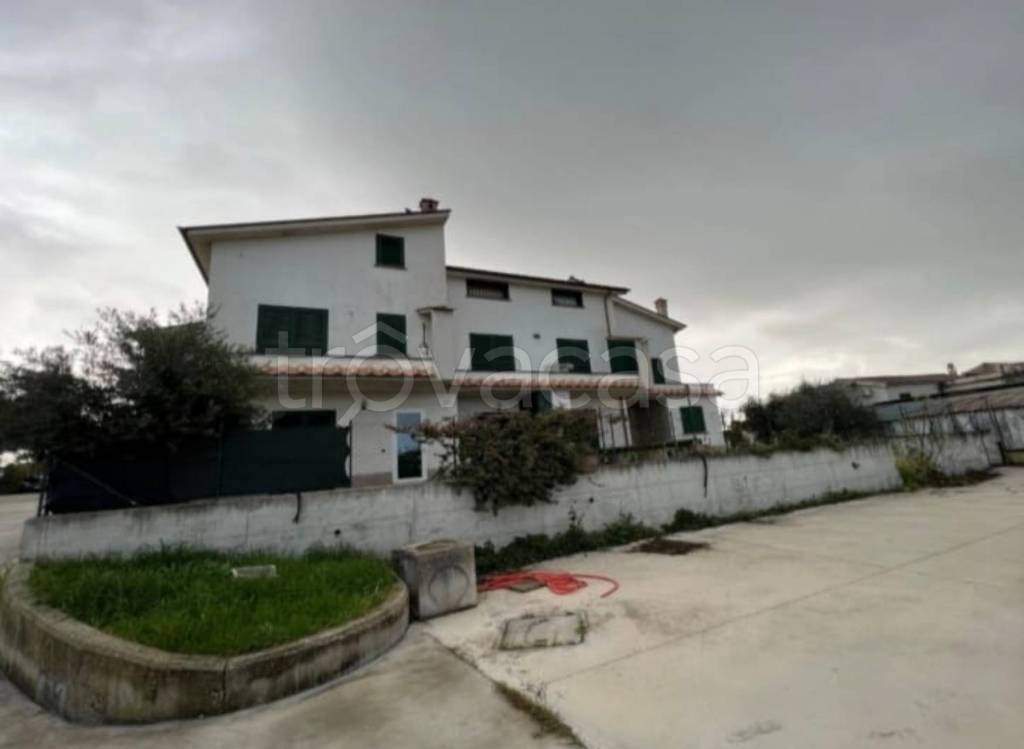 immagine annuncio 8 di 14