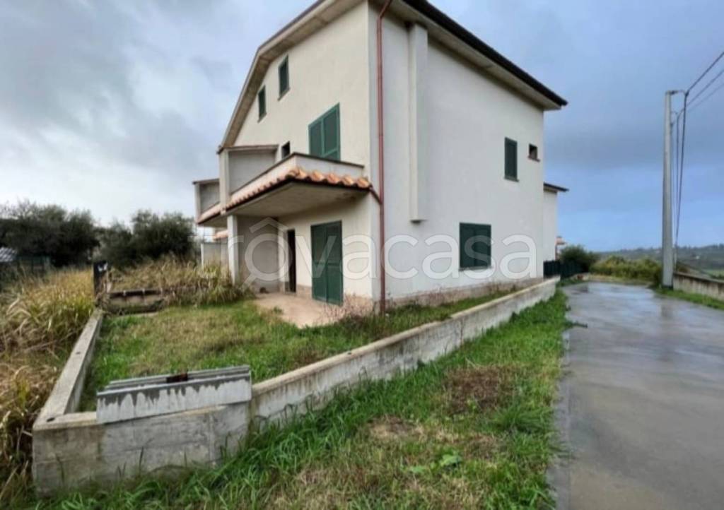 immagine annuncio 9 di 14
