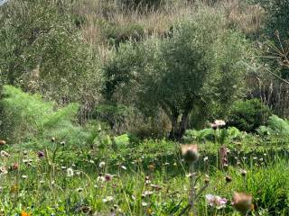 Terreno agricolo in vendita a santa caterina villarmosa strada statale catanese