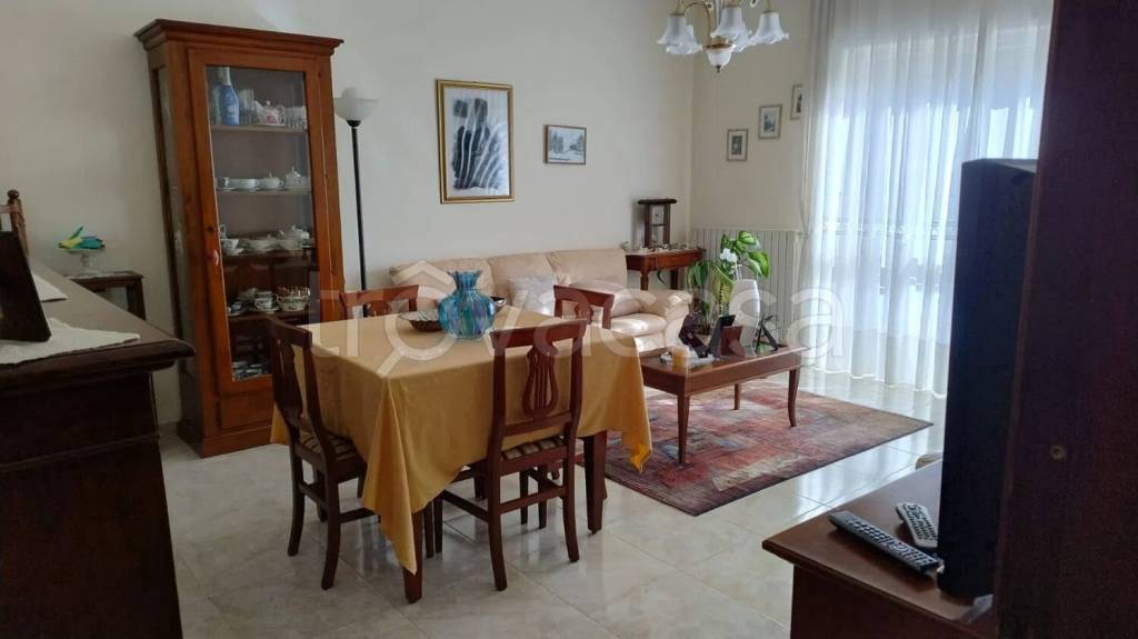 immagine annuncio 5 di 12