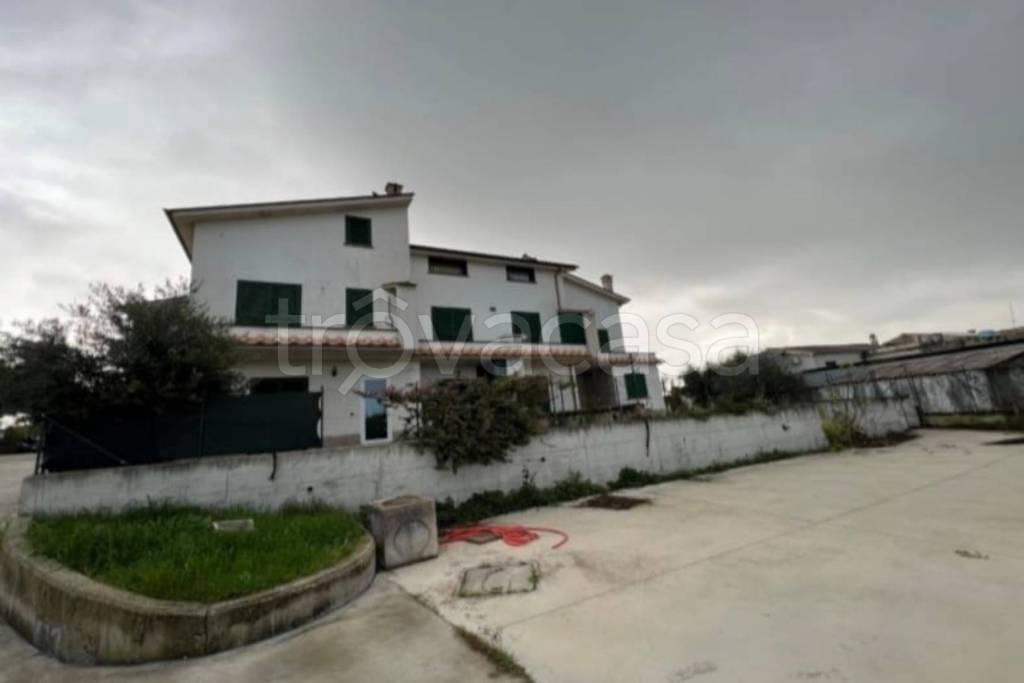 immagine annuncio 5 di 14