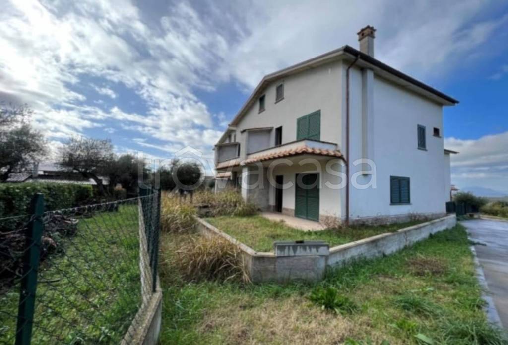 immagine annuncio 6 di 14