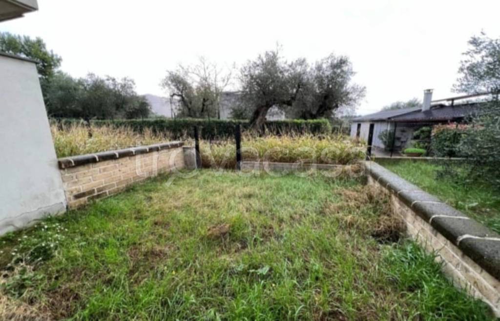 immagine annuncio 8 di 14